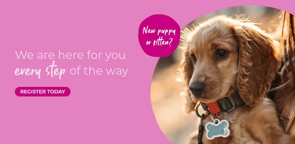 Wicstun Vets in East Riding in Yorkshire