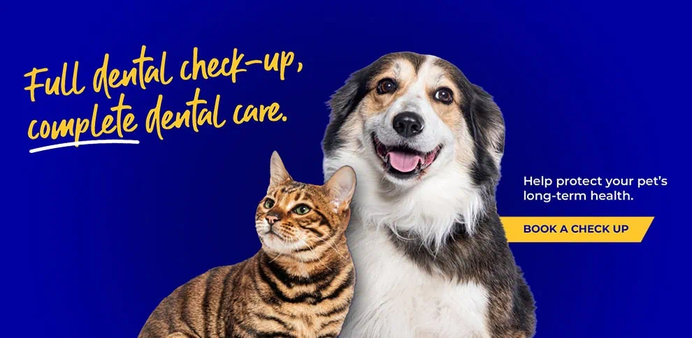 Wicstun Vets in East Riding in Yorkshire