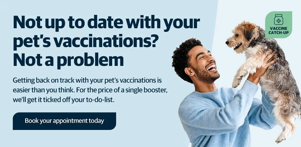 Wicstun Vets in East Riding in Yorkshire