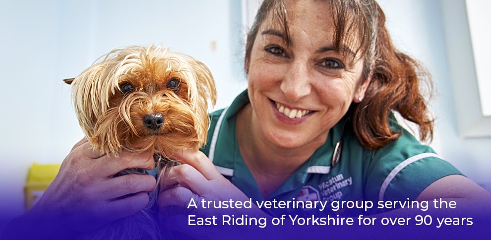 Wicstun Vets in East Riding in Yorkshire