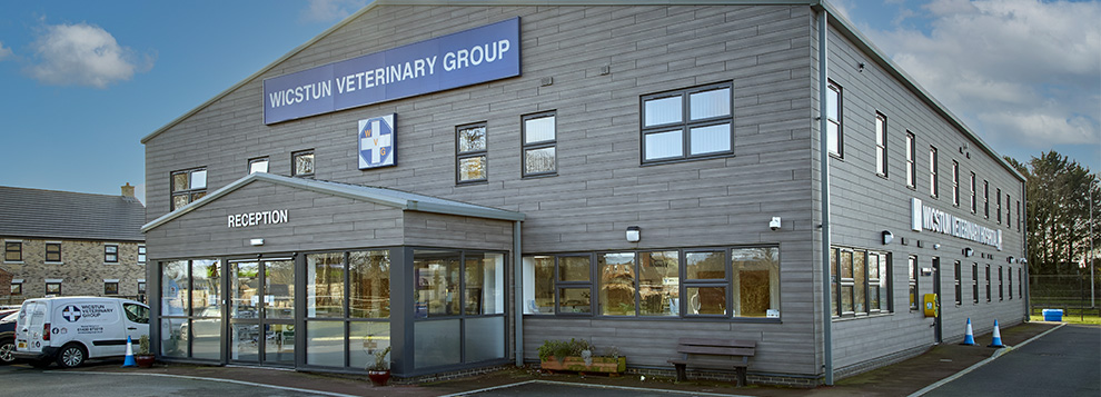 Wicstun Vets Branches