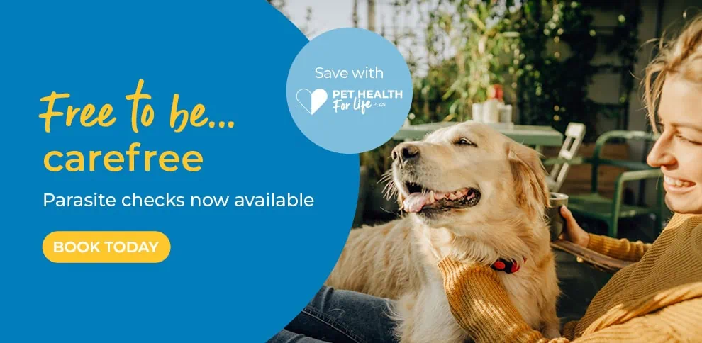 Wicstun Vets in East Riding in Yorkshire