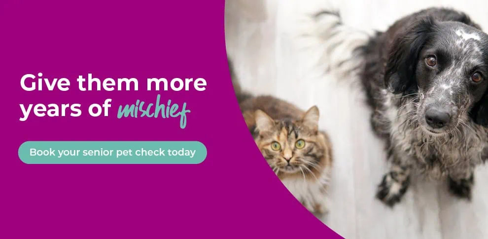 Wicstun Vets in East Riding in Yorkshire